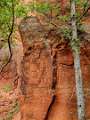 Sedona (12)